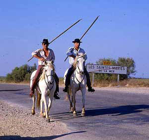CAMARGUE